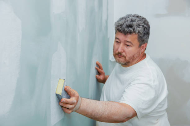 Langhorne Manor, PA Mold Removal Company